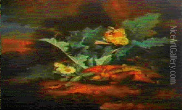 Waldstuck Mit Distelstaude Und Pilzen, Schnecken, Eidechse  Und Schmetterling Oil Painting - Carl Wilhelm de Hamilton