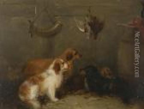 Dogs In Game Larder Oil Painting - George Armfield