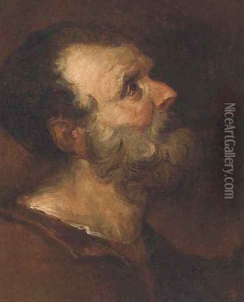 Head of an elderly man Oil Painting - French School
