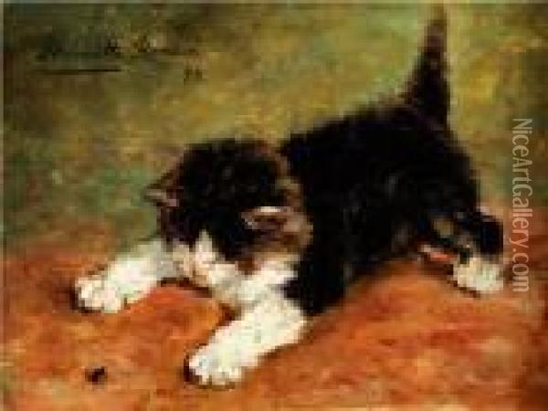 Katzchen Und Fliege Oil Painting - Henriette Ronner-Knip