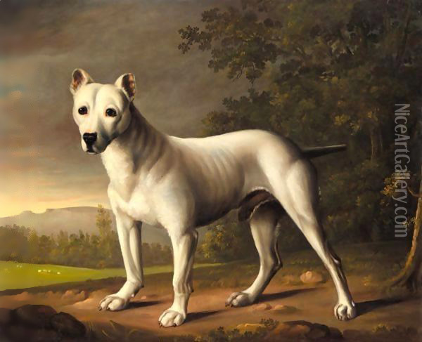 A Bull Terrier In A Landscape Oil Painting - George Nairn