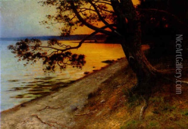 Landskap I Solnedgangsbelysning Oil Painting - August Vilhelm Nikolaus Hagborg
