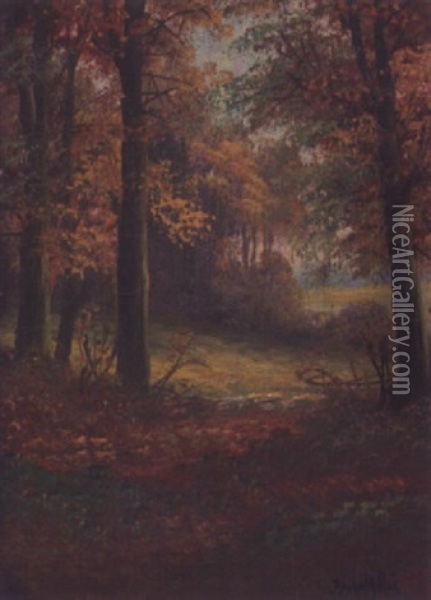 Sunlit Meadow Through The Trees Oil Painting - George Wallis