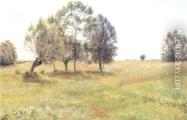 Trees In A Summer Meadow Oil Painting - Nicolaus Lauritz Holten-Lutzhoft