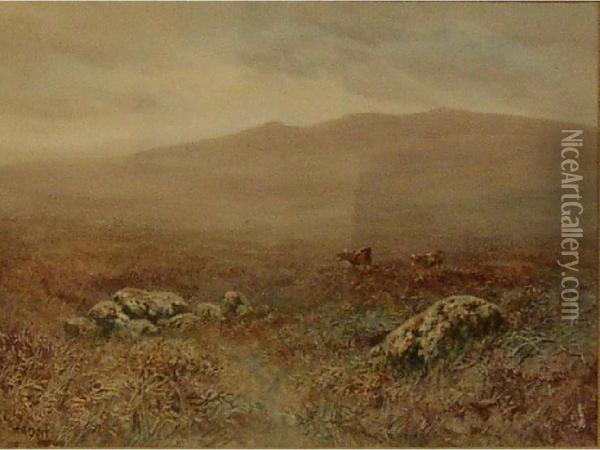 On The Upper East Dart Oil Painting - William Henry Dyer