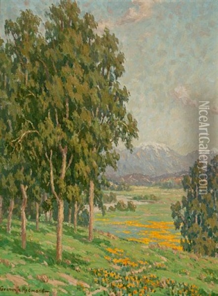 California Wildflowers And Distant Snow-capped Mountains Oil Painting - Granville S. Redmond