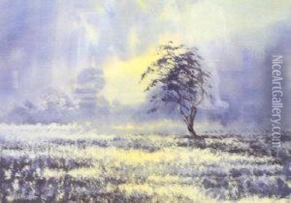 Lone Tree, Sunset Oil Painting - Mary Forster