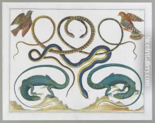 Reptiles Including Snakes, Lizards, Crocodiles Oil Painting - Pieter Tanje