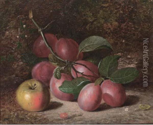 Plums And An Apple, On A Mossy Bank Oil Painting - Charles Archer