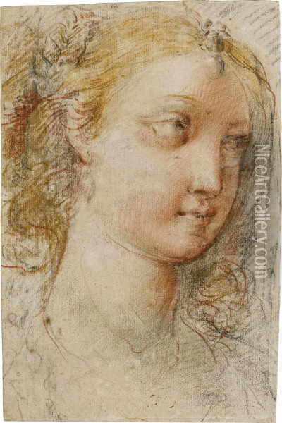Head Of A Young Woman, Looking To The Left Oil Painting - Giuseppe Cesari
