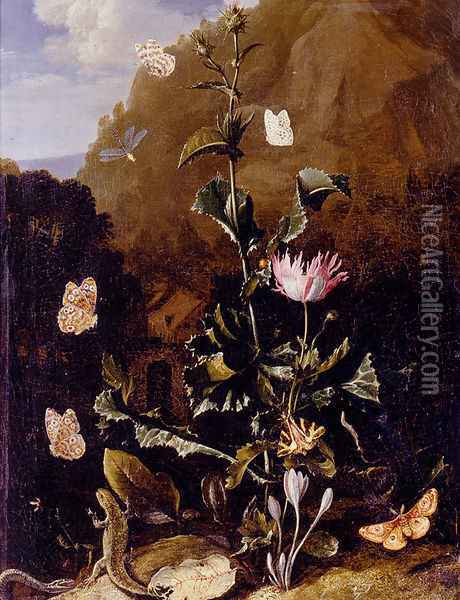 Still Life Of A Thistle And Other Flowers Surrounded By Moths, A Dragonfly, A Lizard, And A Snake, In A Landscape Oil Painting - Otto Marseus van Schrieck
