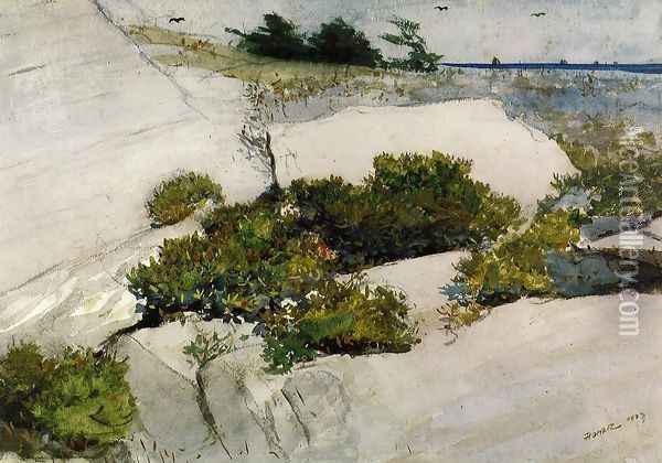 Maine Cliffs Oil Painting - Winslow Homer