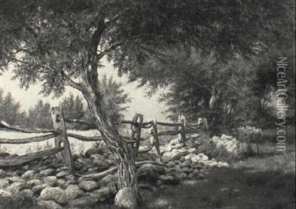 Woodland Stream Oil Painting - Albert Babb Insley