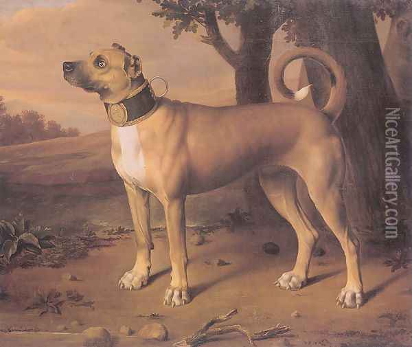 Ulmer Dogge 1705 Oil Painting - Johann Christof Merck