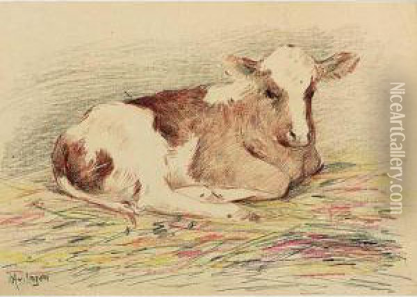A Resting Calf Oil Painting - Hendrikus Alexander Van Ingen