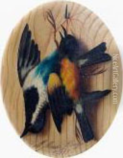 Bird Studies A Pair Oil Painting - Michaelangelo Meucci