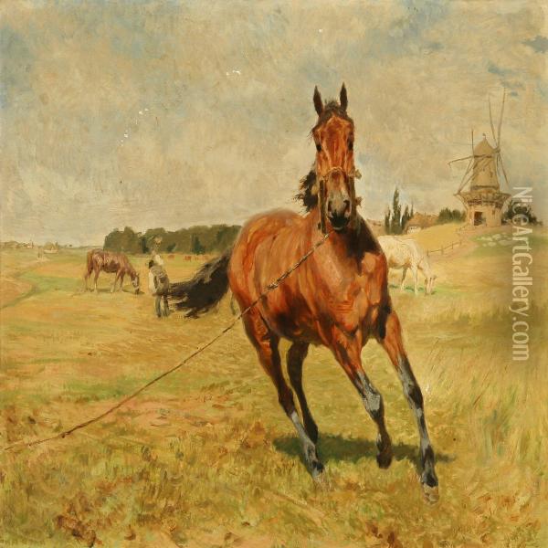 Grazing Horses Near A Mill Oil Painting - Vilhelm Theodor Fischer