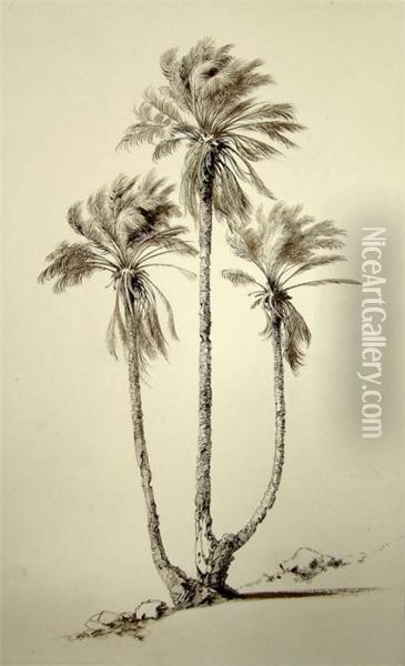 Palmengruppe Oil Painting - Emil Orlik