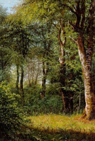 Solfyldt Plet I Skoven Oil Painting - Dankvart-Christian-Magnus Dreyer
