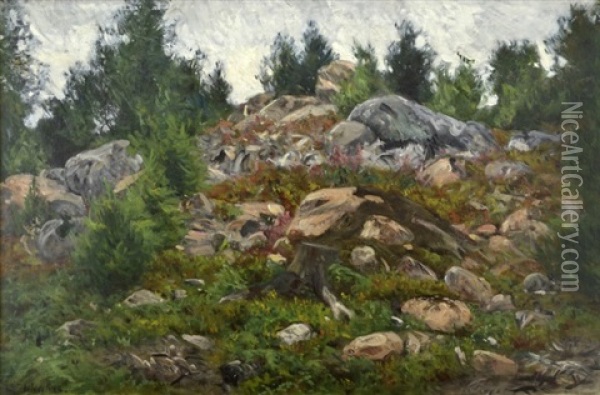 Skogslandskap Med Stenar Och Granar Oil Painting - Olof Arborelius