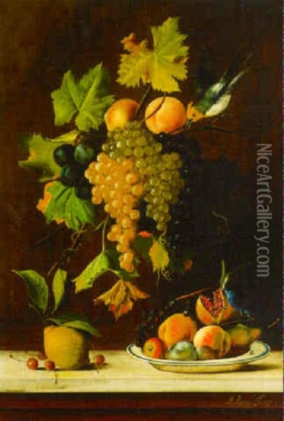 Grapes, Plums With A Pear, A Dish Of Peaches And A Pomegranate With Birds On A Ledge Oil Painting - Michelangelo Meucci