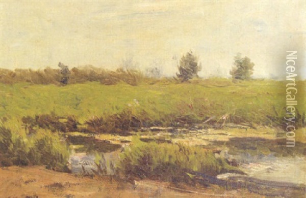 A Sunlit Pasture Oil Painting - Willem Maris