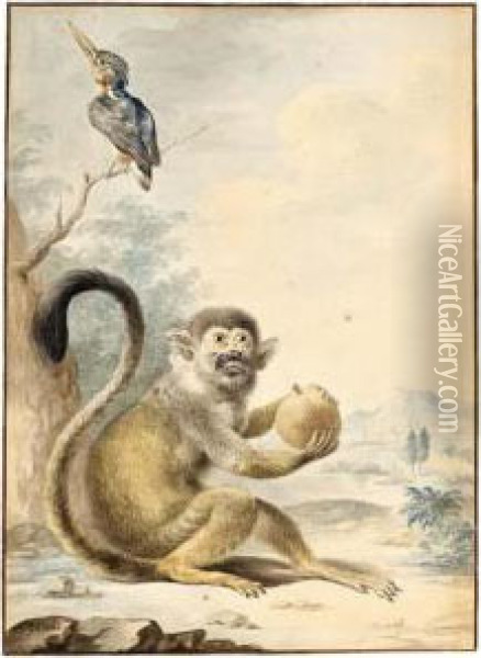 A Squirrel Monkey Holding A Fruit And A Malachite Kingfisher Perched On A Branch Oil Painting - A. Pijl