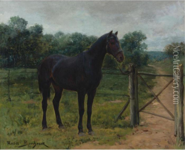 Horse Tied To A Gate Oil Painting - Rosa Bonheur
