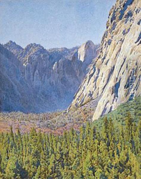 Forested Canyon Oil Painting - Gunnar M. Widforss