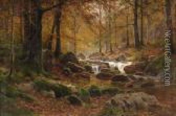 Herbstlicher Wald Mit Bachlauf. Oil Painting - Walter Moras