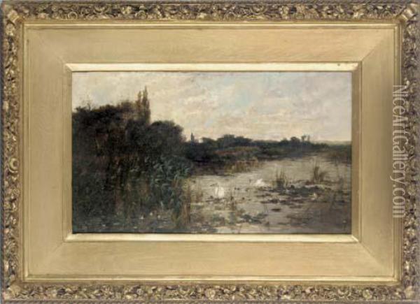 Swans In A Thames Backwater Oil Painting - Sidney Pike