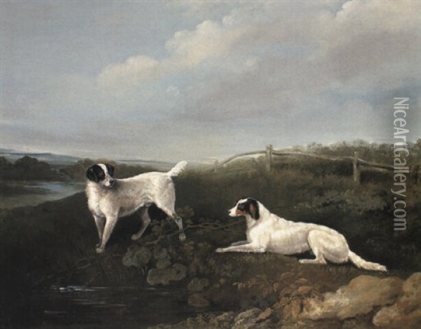 Spaniels In A River Landscape Oil Painting - Edwin Cooper