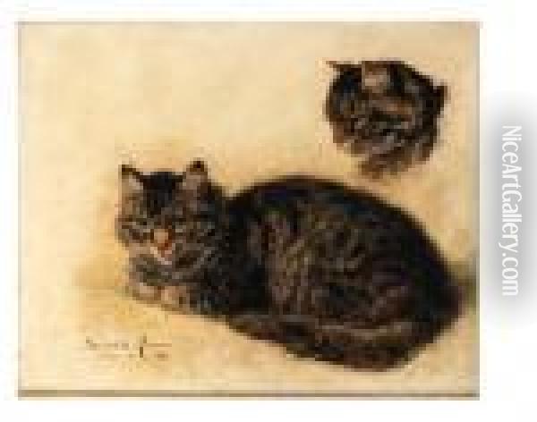 A Tabby Cat - A Study Oil Painting - Henriette Ronner-Knip