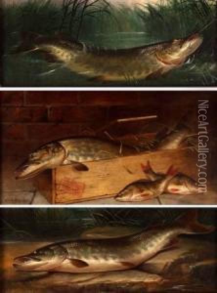 Set Of Three Oils On Canvas Oil Painting - Henry Leonidas Rolfe