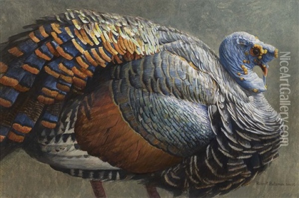 Ocellated Turkey Oil Painting - Robert Bateman