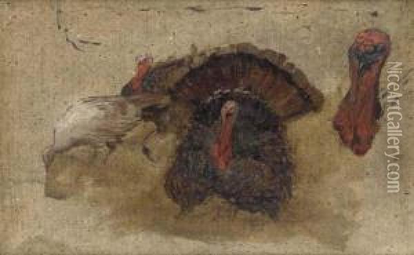A Study Of Turkeys Oil Painting - Robert L. Alexander