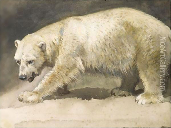 The Polar Bear Oil Painting - Archibald Thorburn