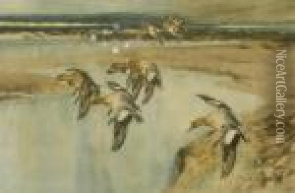 Colour Print Of Landingducks Oil Painting - Frank Southgate