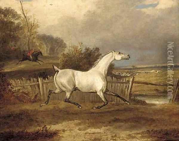 A grey in a paddock with a hunt beyond Oil Painting - Francis Calcraft Turner