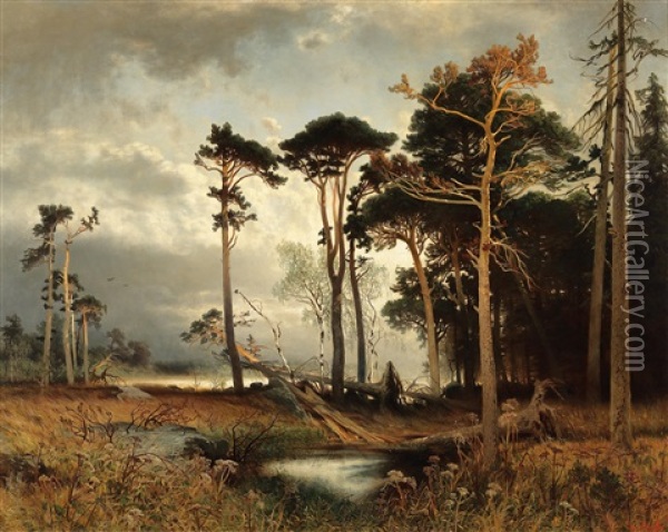 Evening Light Over A Pine Forest Oil Painting - August Schaefer von Wienwald