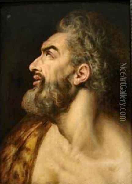 Study Head of a Bearded Man Oil Painting - Frans, the elder Floris