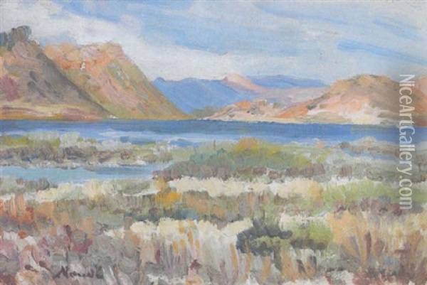 Lagoon And Mountains Oil Painting - Pieter Hugo Naude