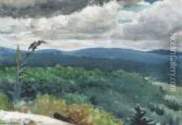 Hilly Landscape Oil Painting - Winslow Homer