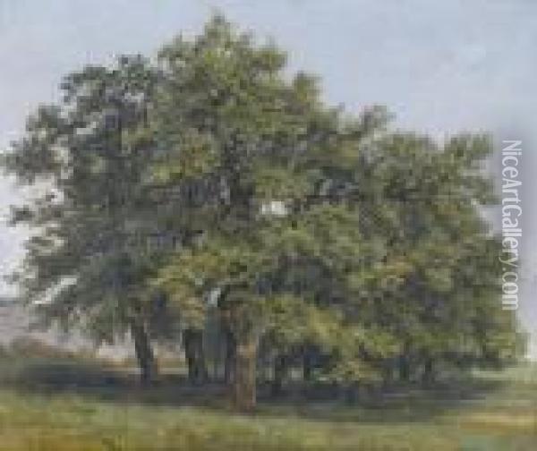 Eichenhain In Ebener Landschaft. Oil Painting - Alexandre Calame