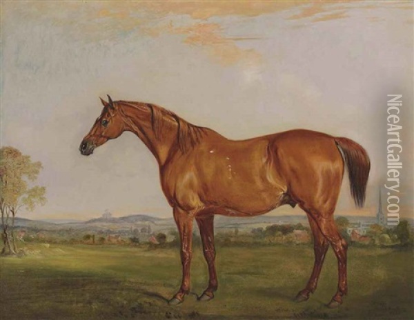 Shamrock, The Chestnut Hunter Of The Rev. Charles Thornton, Belvoir Castle In The Distance Oil Painting - John E. Ferneley