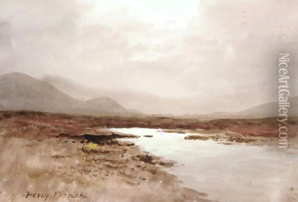 Sunlight Over Bog, Ireland Oil Painting - William Percy French