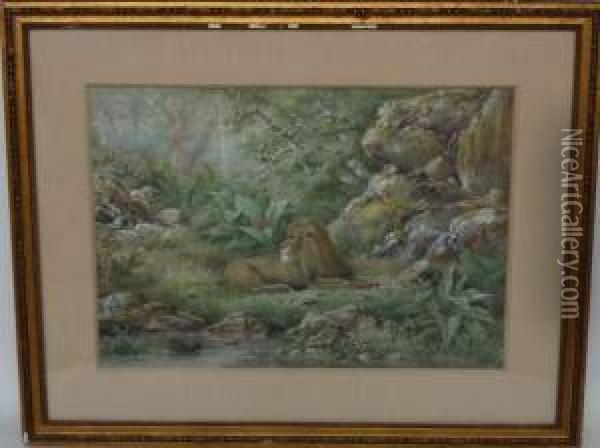 Le Vieux Lion Oil Painting - Henri Langerock