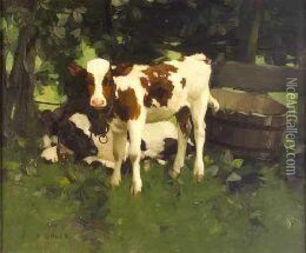Calves By A Water-butt Oil Painting - David Gauld