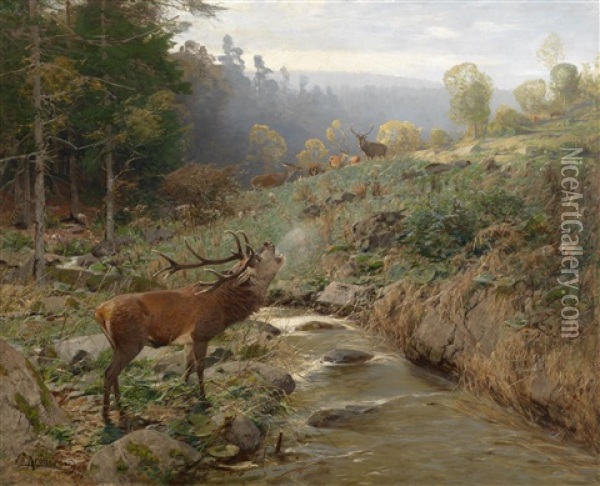 Rotwildrudel Auf Einer Waldlichtung Oil Painting - Christian (Johann Christian) Kroener