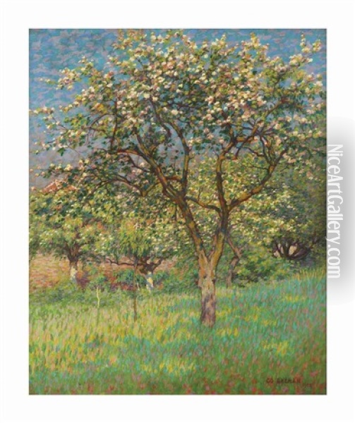 Blossoming Trees In Het Gooi Oil Painting - Co (Jacobus Ahazuerus) Breman